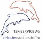 TEK-Service AG Logo